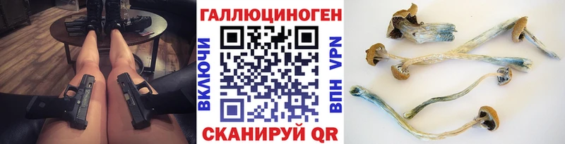 Галлюциногенные грибы Cubensis  Купить закладки  Заволжск 